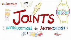 Joints - Anatomy & Physiology