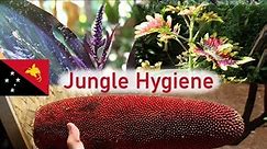 Hygiene in the Highland Jungle | Plants of Papua New Guinea