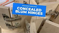 All the main Blum hinge types explained!