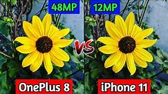 OnePlus 8 VS iPhone 11 Camera Comparison