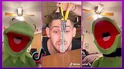 Newest and Best of @kermitontiktok TikToks of 2021 | Funny Kermit On TikTok Videos Compilation