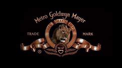 Metro Goldwyn Mayer (1997)