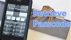 How to Retrieve iOS Lock Screen Passcode Without Losing Data?