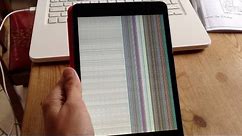 Crazy iPad Mini Display Error! iPad Breaking Issues!