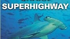 Shark Superhighway