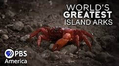 World's Greatest Island Arks FULL EPISODE | PBS America