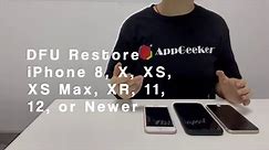 How to Put iPhone into DFU mode | DFU Restore iPhone 6s, 7, 8, X, XS, XS Max, XR, 11, 12