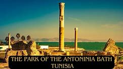 THE PARK OF THE ANTONINIA BATHS Carthage, Tunisia