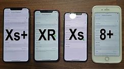 iPhone Xr - Display Quality Comparison with Xs, Xs Max and 8 Plus