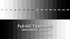 Full HD LCD panel test, light bleeding test, motion test, tv tests.