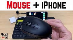 How to use a MOUSE with an iPhone (iOS 13)