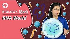 RNA World | Biology