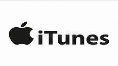 Simple iTunes Tutorial For Beginners | How To Install/Use On Windows PC!