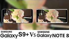 Samsung Galaxy S9+ Vs Galaxy Note 8 Camera Test