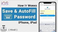Save Password on iPhone | Autofill Password iPhone | Autofill Password iOS | Techie | HINDI