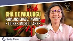 CHÁ DE MULUNGU - Para ansiedade, Insônia e dores musculares