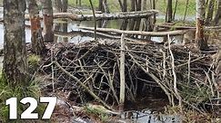 Perfect Dam And Flooded Meadow - Manual Beaver Dam Removal No.127