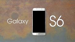 Samsung Galaxy S6 Review | 3 Months Later!