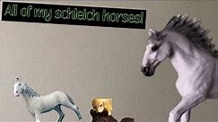 All my Schleich horses in one video!