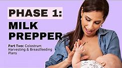 Mastering Breastfeeding: The Ultimate FREE Online Class for New Moms! MILK PREPPER: Part 2