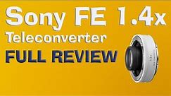 Sony FE 1.4x Teleconverter Review (Full)