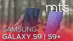 Samsung Galaxy S9 i S9+