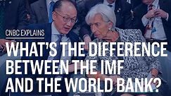 What's the difference between the IMF and the World Bank? | CNBC Explains