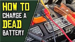 How To Charge a DEAD Car Battery When The Smart Charger Won't Detect It