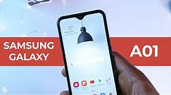 Samsung Galaxy A01 Long Term Review - Best Budget Smartphone with Android 10?