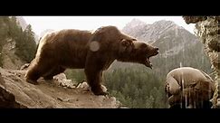 Meilleur Film D'action Complet En Français 2020 l'ours