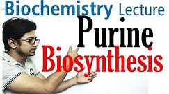 Purine biosynthesis
