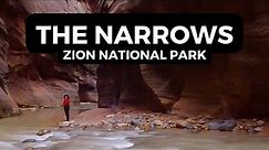 The Narrows Hike in Zion National Park | 9 Tips To Know Before You Go!