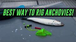 HOW TO Rig & Fish With Anchovy Helmets For SALMON. (PROVEN METHOD!)