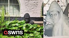 Police are hunting thief after stealing a life sized plastic GORILLA from a man's pond