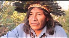 Guarani-Kaiowá sobrevivem sem alimentos da FUNAI nem terras para cultivo
