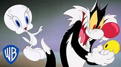 Looney Tunes auf Deutsch 🇩🇪  | Sylvester fängt Tweety?!?! | WB Kids