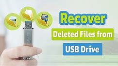 [Full Guide] How to Recover Deleted Files from USB Drive [with/without Software]