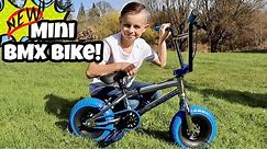 I Got a New Mini BMX Bike!