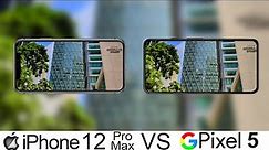 iPhone 12 Pro Max Vs Pixel 5 Camera Test