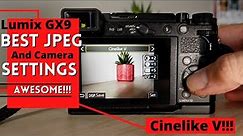 Best JPEG and Camera Settings For Lumix GX9 In 2022 - Manual Mode!!!