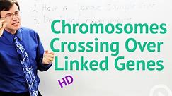 Chromosomes Crossing Over - Linked Genes