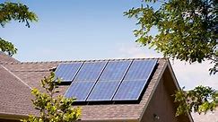 Types of Solar Panels (2024 Guide)
