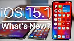 iOS 15.1 is Out! - What's New?