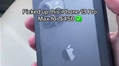 iPhone 13 Pro Max Flip