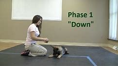 How to Train a dog to Lie "Down" (K9-1.com)