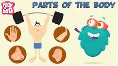 Parts Of The Body | The Dr. Binocs Show | Learn Videos For Kids