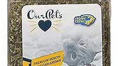 Our Pets Premium Catnip - 2.25 oz Jar of High Potency Catnip - 100% North American Grown