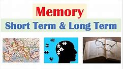 Types of Memory | Short Term & Working Memory, Long Term Memory (Explicit and Implicit)