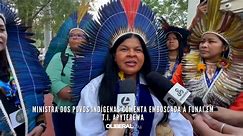 Ministra dos Povos Indígenas comenta emboscada à Funai em T.I. Apyterewa - Vídeo Dailymotion
