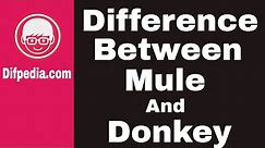 Difference between Mule and Donkey